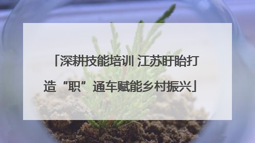 深耕技能培训 江苏盱眙打造“职”通车赋能乡村振兴