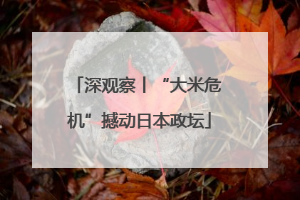 深观察丨“大米危机”撼动日本政坛