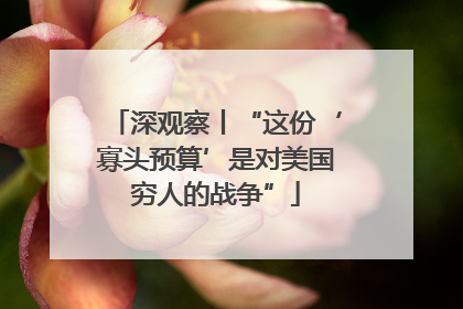 深观察丨“这份‘寡头预算’是对美国穷人的战争”
