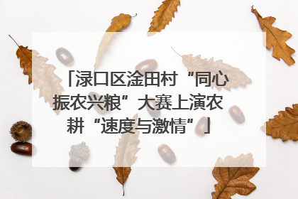 渌口区淦田村“同心振农兴粮”大赛上演农耕“速度与激情”