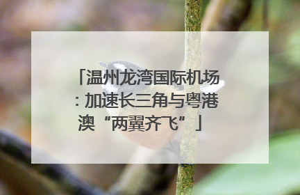 温州龙湾国际机场：加速长三角与粤港澳“两翼齐飞”