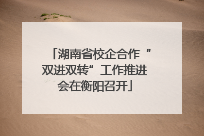 湖南省校企合作“双进双转”工作推进会在衡阳召开