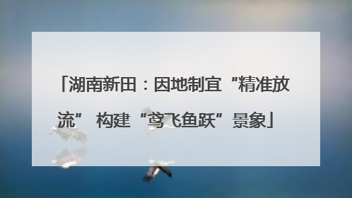 湖南新田：因地制宜“精准放流” 构建“鸢飞鱼跃”景象