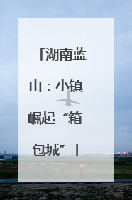 湖南蓝山：小镇崛起“箱包城”