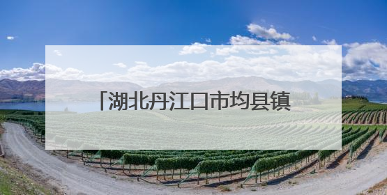 湖北丹江口市均县镇：爱心企业开展公益捐助推进乡村振兴