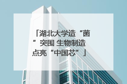 湖北大学造“菌”突围 生物制造点亮“中国芯”