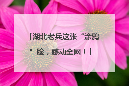 湖北老兵这张“涂鸦”脸，感动全网！