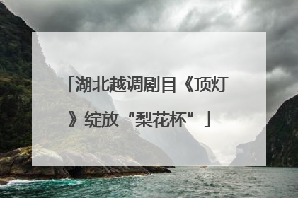 湖北越调剧目《顶灯》绽放“梨花杯”