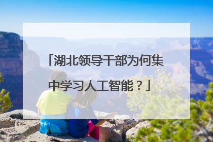 湖北领导干部为何集中学习人工智能？