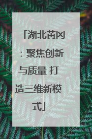 湖北黄冈：聚焦创新与质量 打造三维新模式