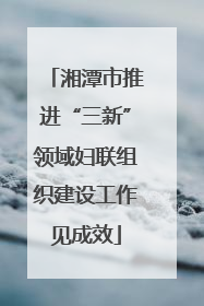 湘潭市推进“三新”领域妇联组织建设工作见成效
