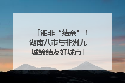 湘非“结亲”！湖南八市与非洲九城缔结友好城市
