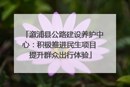 溆浦县公路建设养护中心：积极推进民生项目 提升群众出行体验