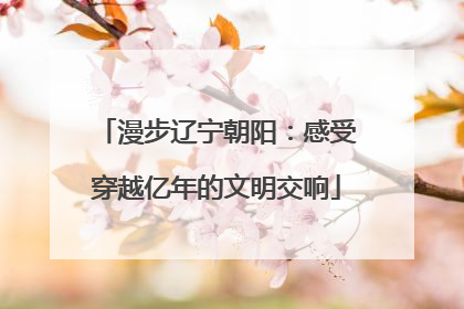 漫步辽宁朝阳：感受穿越亿年的文明交响