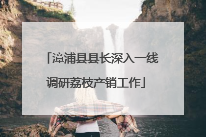 漳浦县县长深入一线调研荔枝产销工作