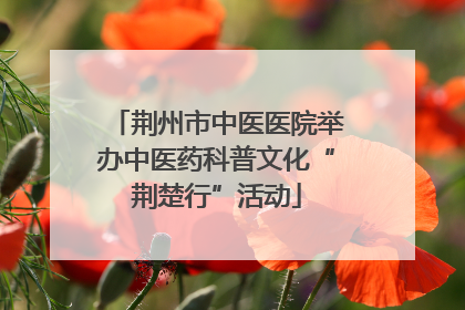 荆州市中医医院举办中医药科普文化“荆楚行”活动