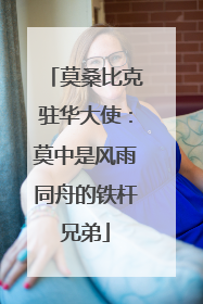莫桑比克驻华大使：莫中是风雨同舟的铁杆兄弟