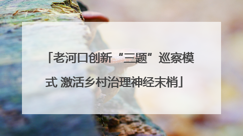 老河口创新“三题”巡察模式 激活乡村治理神经末梢