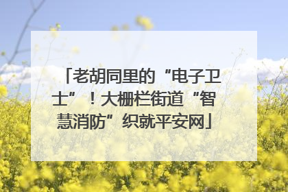 老胡同里的“电子卫士”！大栅栏街道“智慧消防”织就平安网