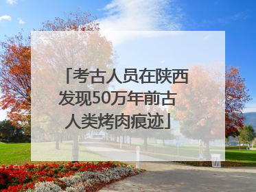 考古人员在陕西发现50万年前古人类烤肉痕迹