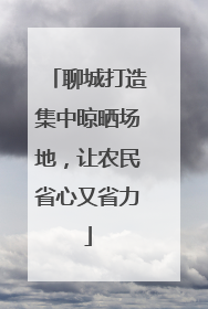 聊城打造集中晾晒场地，让农民省心又省力