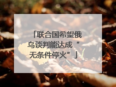 联合国希望俄乌谈判能达成“无条件停火”