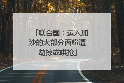 联合国：运入加沙的大部分面粉遭劫掠或哄抢