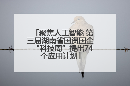 聚焦人工智能 第三届湖南省国资国企“科技周”提出74个应用计划