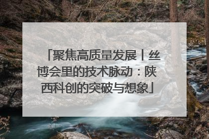 聚焦高质量发展丨丝博会里的技术脉动：陕西科创的突破与想象
