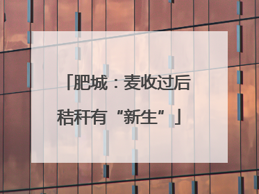 肥城：麦收过后秸秆有“新生”