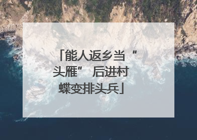 能人返乡当“头雁” 后进村蝶变排头兵