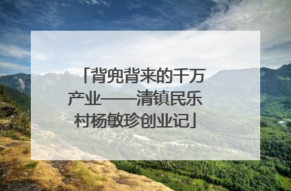 背兜背来的千万产业——清镇民乐村杨敏珍创业记