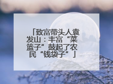 致富带头人袁发山：丰富“菜篮子”鼓起了农民“钱袋子”