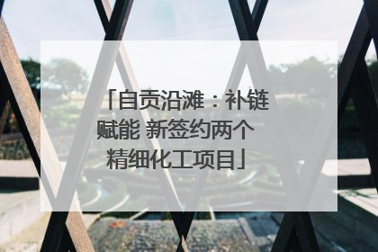 自贡沿滩：补链赋能 新签约两个精细化工项目