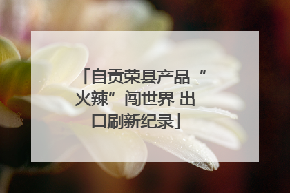 自贡荣县产品“火辣”闯世界 出口刷新纪录
