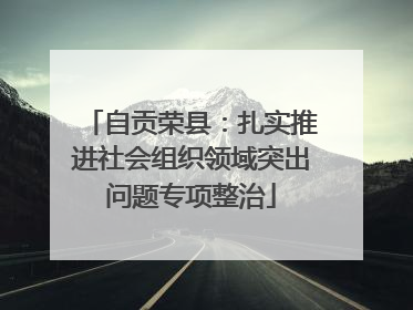 自贡荣县：扎实推进社会组织领域突出问题专项整治