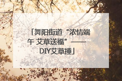 舞阳街道“浓情端午 艾草送福”——DIY艾草捶