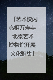 艺术快闪亮相万寿寺 北京艺术博物馆开展文化雅集