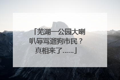 芜湖一公园大喇叭辱骂遛狗市民？真相来了……