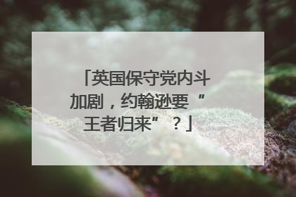 英国保守党内斗加剧，约翰逊要“王者归来”？