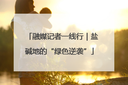融媒记者一线行｜盐碱地的“绿色逆袭”