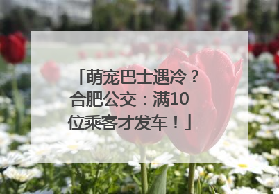 萌宠巴士遇冷？合肥公交：满10位乘客才发车！