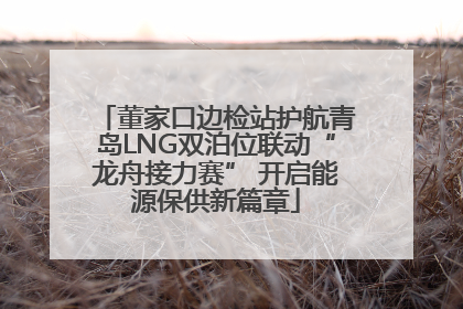 董家口边检站护航青岛LNG双泊位联动“龙舟接力赛” 开启能源保供新篇章