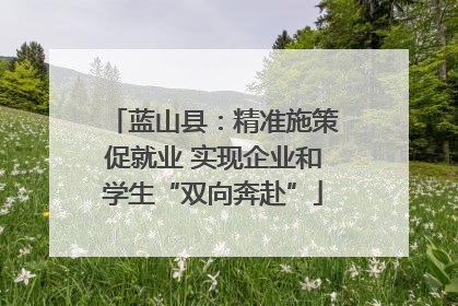 蓝山县：精准施策促就业 实现企业和学生“双向奔赴”