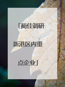 蔺佳调研新港区内重点企业