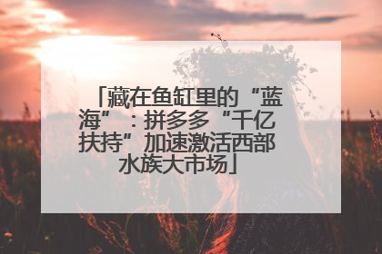 藏在鱼缸里的“蓝海”：拼多多“千亿扶持”加速激活西部水族大市场