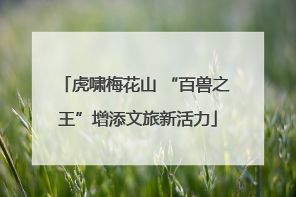 虎啸梅花山 “百兽之王”增添文旅新活力