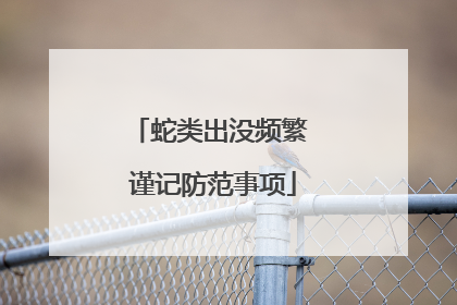 蛇类出没频繁 谨记防范事项