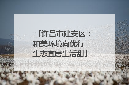 许昌市建安区：和美环境向优行 生态宜居生活甜