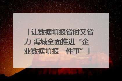 让数据填报省时又省力 禹城全面推进“企业数据填报一件事”
